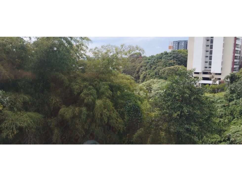 Apartamento en arriendo Quindío Armenia Sector Centro 44 m2 Habitaciones 2 Baños 2 Garajes 0 Precio $1500000