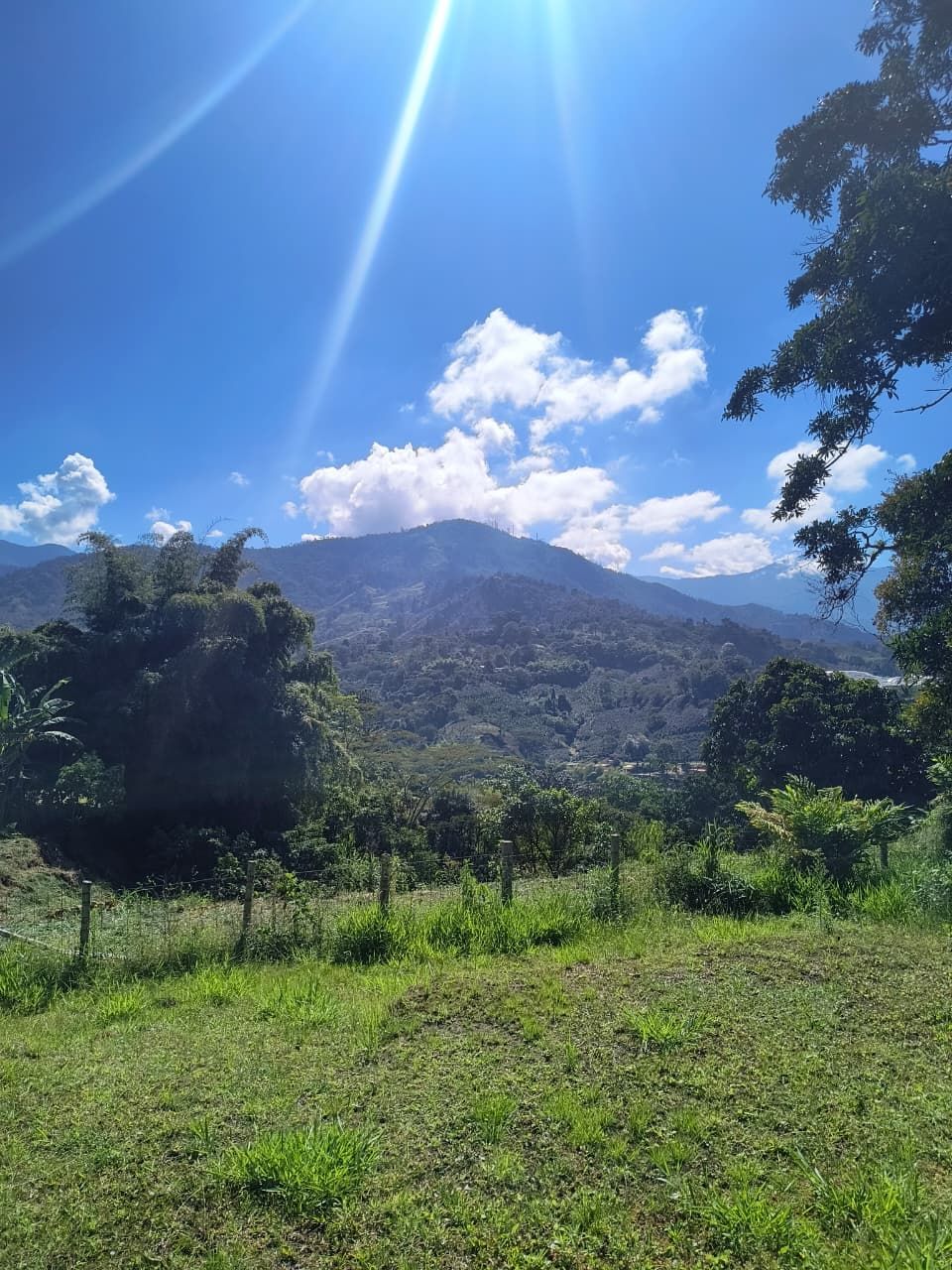 Lote en venta Quindío Armenia Br Parque Residencial Santa Barbara 0 m2 Habitaciones 0 Baños 0 Garajes 0 Precio $1300000000