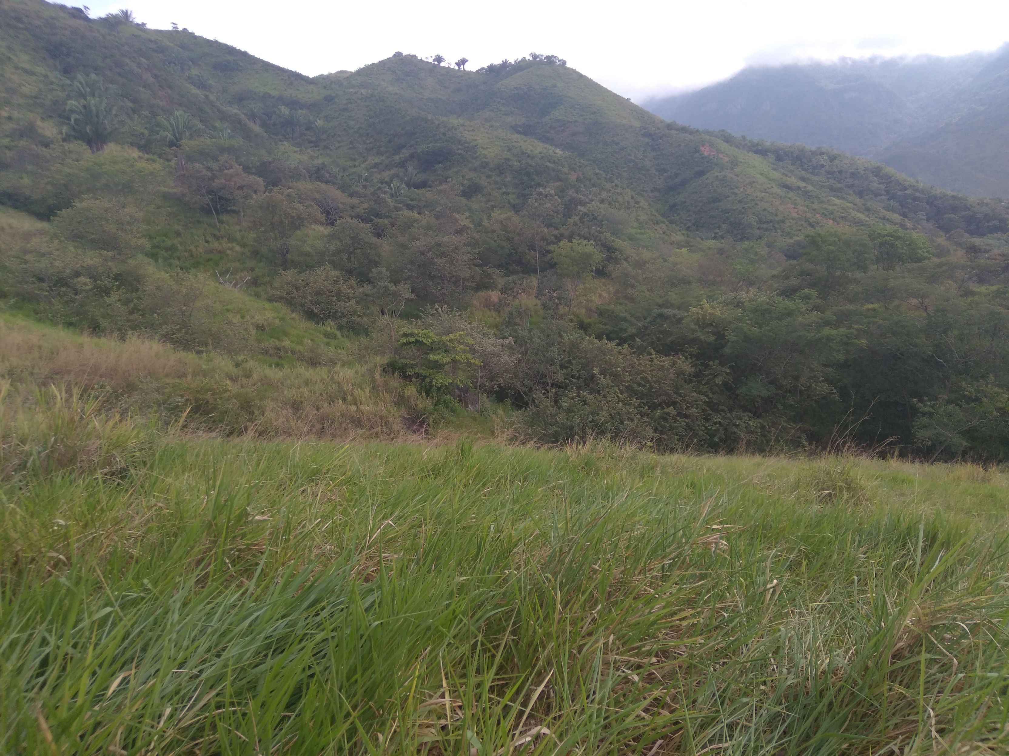 Lote en venta Cundinamarca San Juan De Río Seco San Juan De Río Seco 0 m2 Habitaciones 0 Baños 0 Garajes 0 Precio $250000000