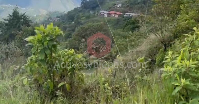 Lote en venta Antioquia Medellín Santa Rosa De Lima 1200 m2 Habitaciones 0 Baños 0 Garajes 0 Precio $120000000