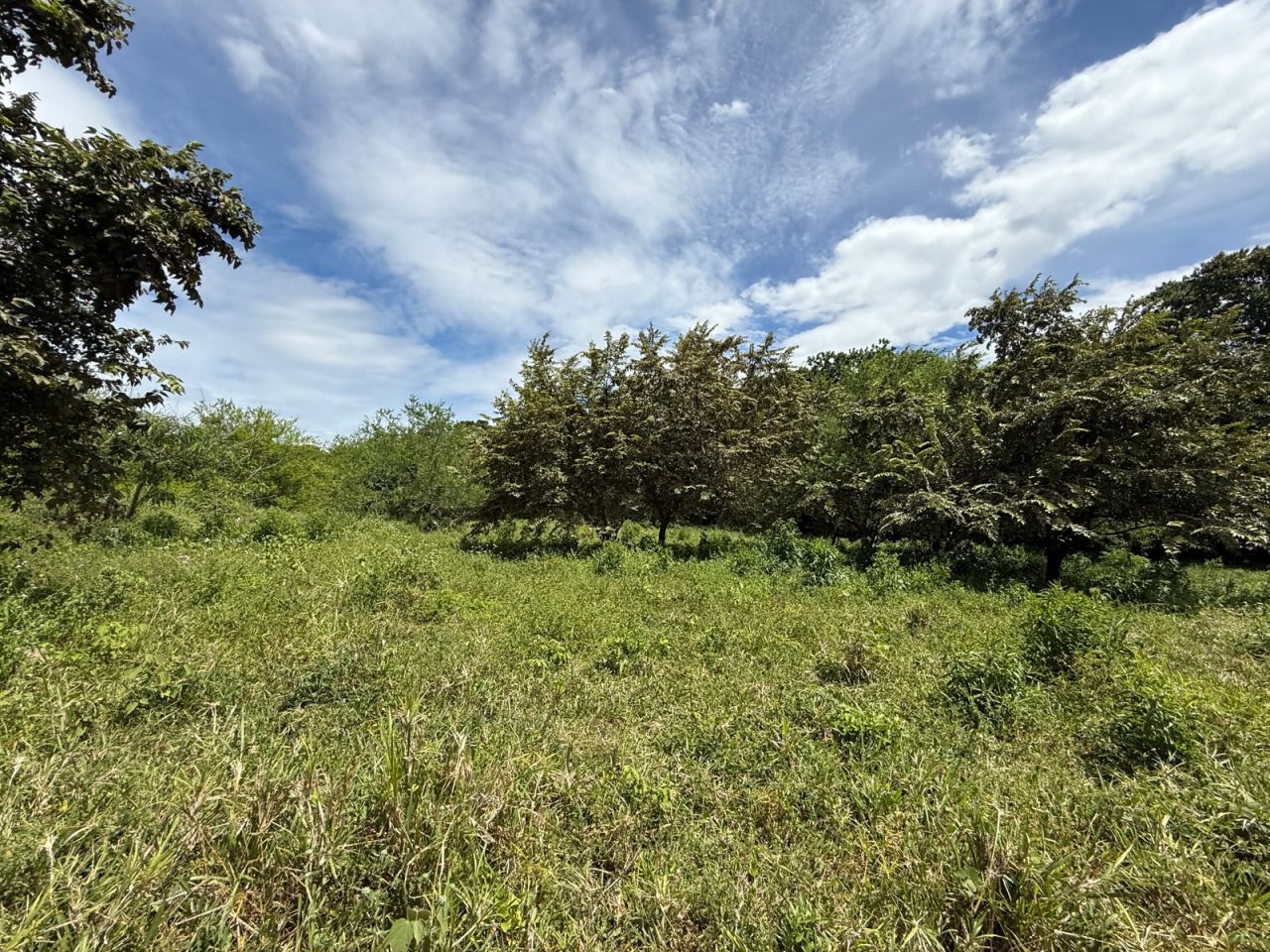 Lote en venta Huila Neiva El Faro 28500 m2 Habitaciones 0 Baños 0 Garajes 0 Precio $4600000000