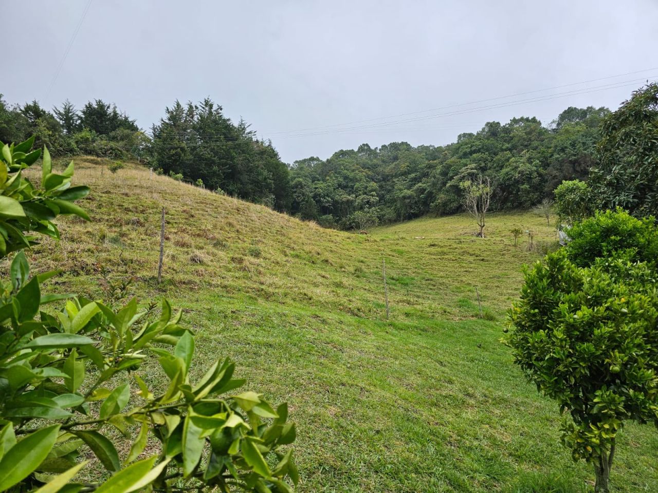 Finca en venta Antioquia Abejorral Abejorral 40 m2 Habitaciones 2 Baños 1 Garajes 1 Precio $670000000