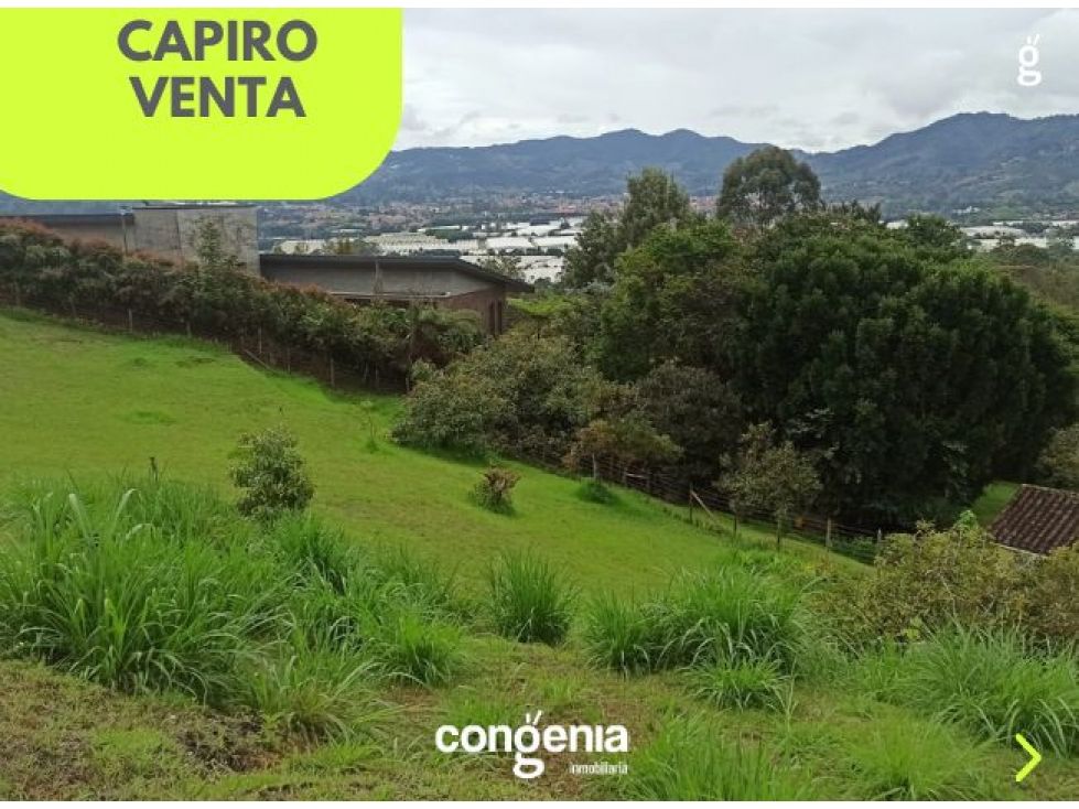 Lote en venta Antioquia La Ceja La Ceja 6000 m2 Habitaciones 0 Baños 0 Garajes 0 Precio $1500000000