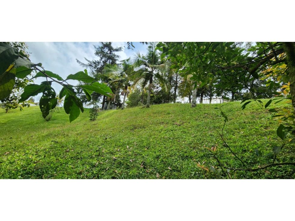 Lote en venta Antioquia El Carmen De Viboral El Carmen De Viboral 3350 m2 Habitaciones 0 Baños 0 Garajes 0 Precio $600000000