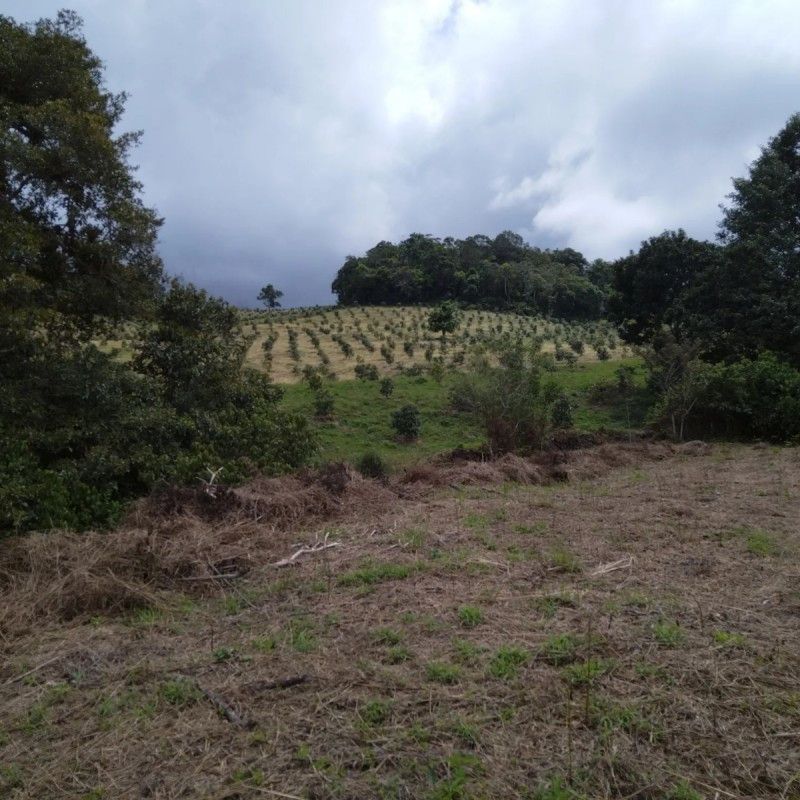 Lote en venta Valle Del Cauca Calima Calima 0 m2 Habitaciones 0 Baños 0 Garajes 0 Precio $322000000