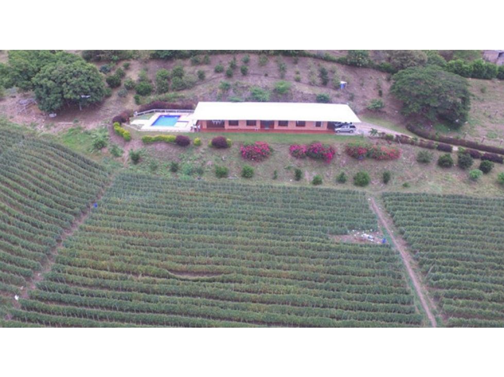 Finca en venta Valle Del Cauca Roldanillo Roldanillo 16000 m2 Habitaciones 5 Baños 4 Garajes 4 Precio $995000000