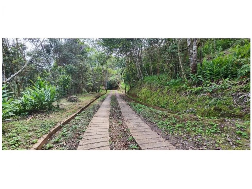 Lote en venta Valle Del Cauca Yumbo Yumbo 3000 m2 Habitaciones 0 Baños 1 Garajes 1 Precio $350000000