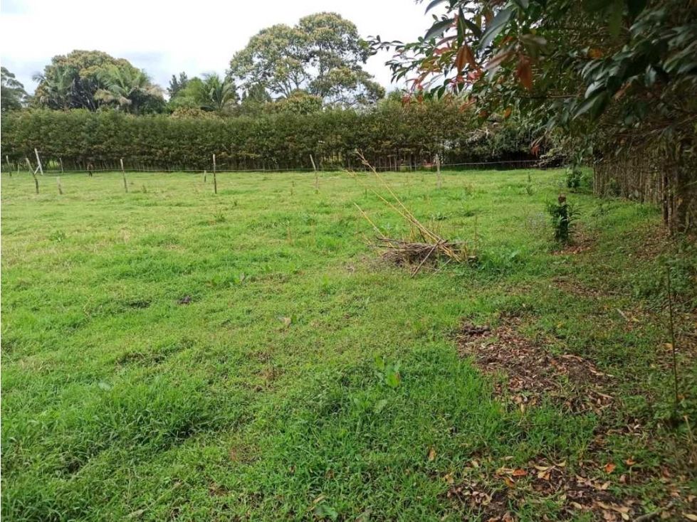 Lote en venta Antioquia Rionegro Rionegro 3550 m2 Habitaciones 0 Baños 0 Garajes 0 Precio $1750000000