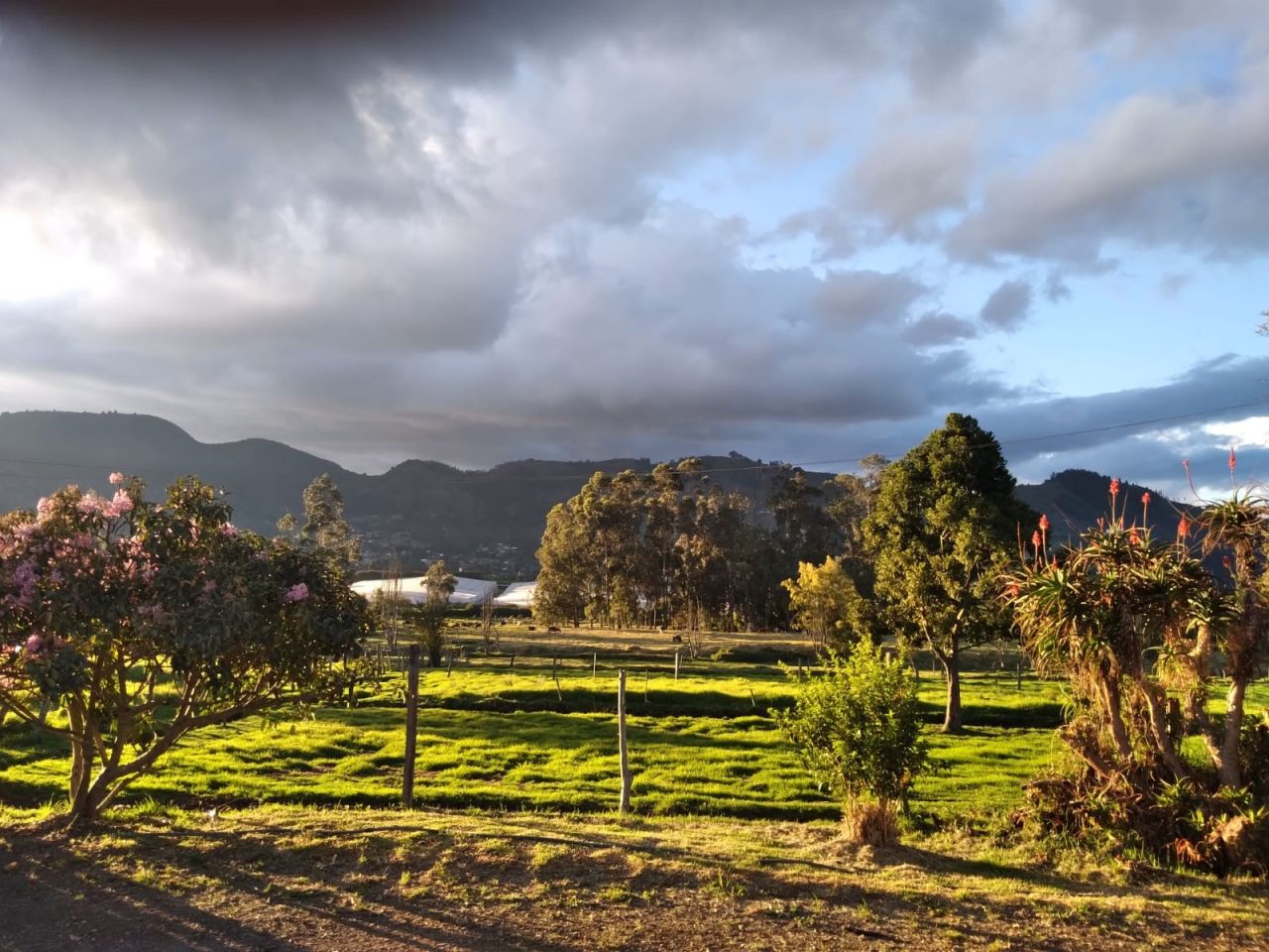 Lote en venta Cundinamarca Chía Asturias 0 m2 Habitaciones 0 Baños 0 Garajes 0 Precio $1000000