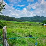 Finca en venta Valle Del Cauca Jamundí Jamundí 25770 m2 Habitaciones 1 Baños 1 Garajes 0 Precio $1200000000