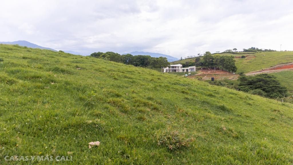 Lote en venta Valle Del Cauca Palmira Santa María Del Palmar 3600 m2 Habitaciones 0 Baños 0 Garajes 0 Precio $650000000