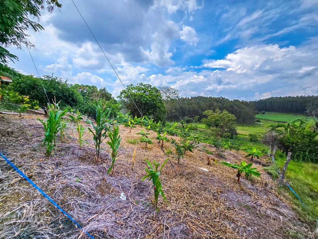 Finca en venta Cauca Santander De Quilichao Morales Duque 25770 m2 Habitaciones 2 Baños 1 Garajes 0 Precio $998000000