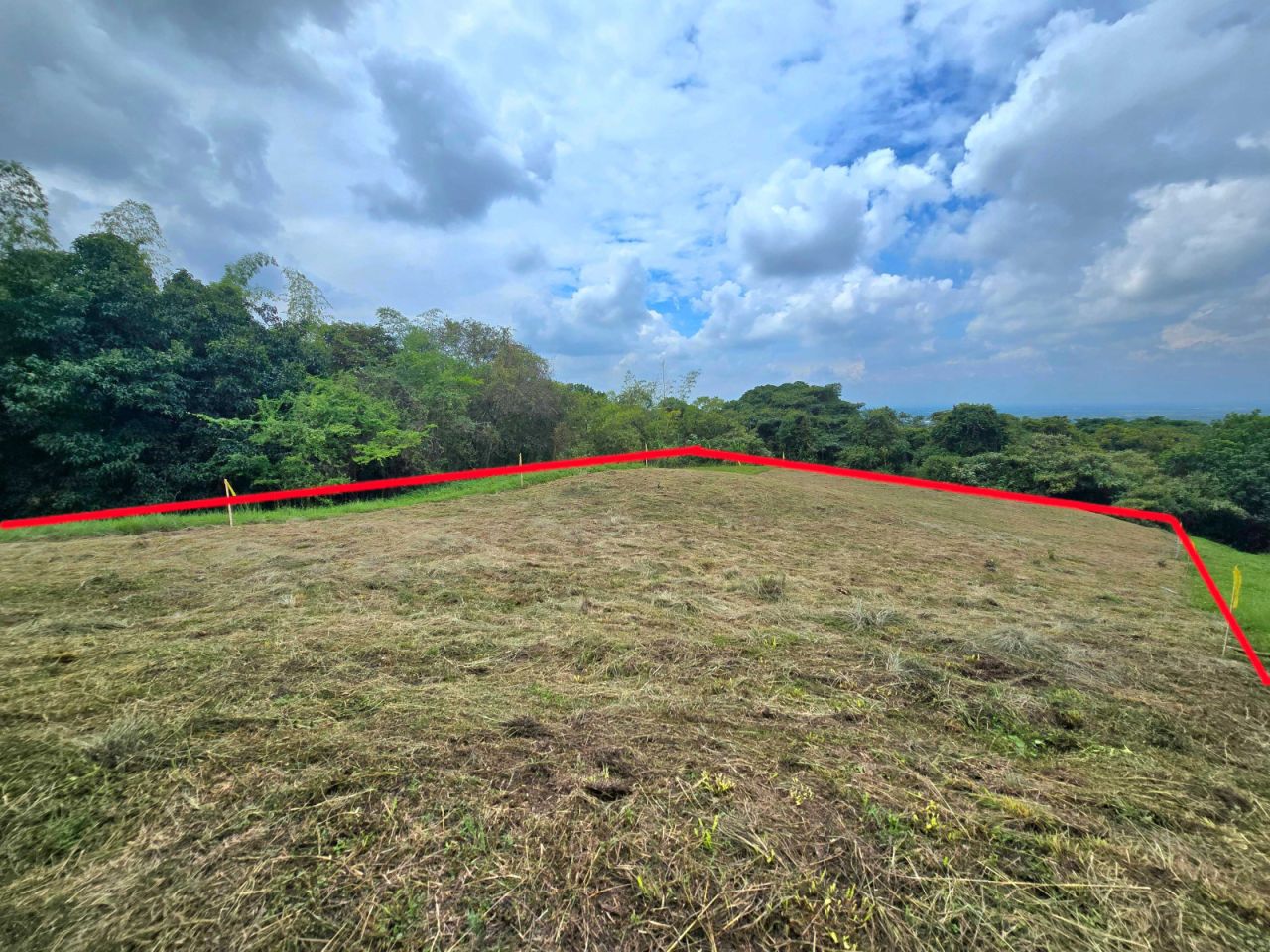 Lote en venta Valle Del Cauca El Cerrito El Cerrito 3360 m2 Habitaciones 0 Baños 3 Garajes 1 Precio $500000000
