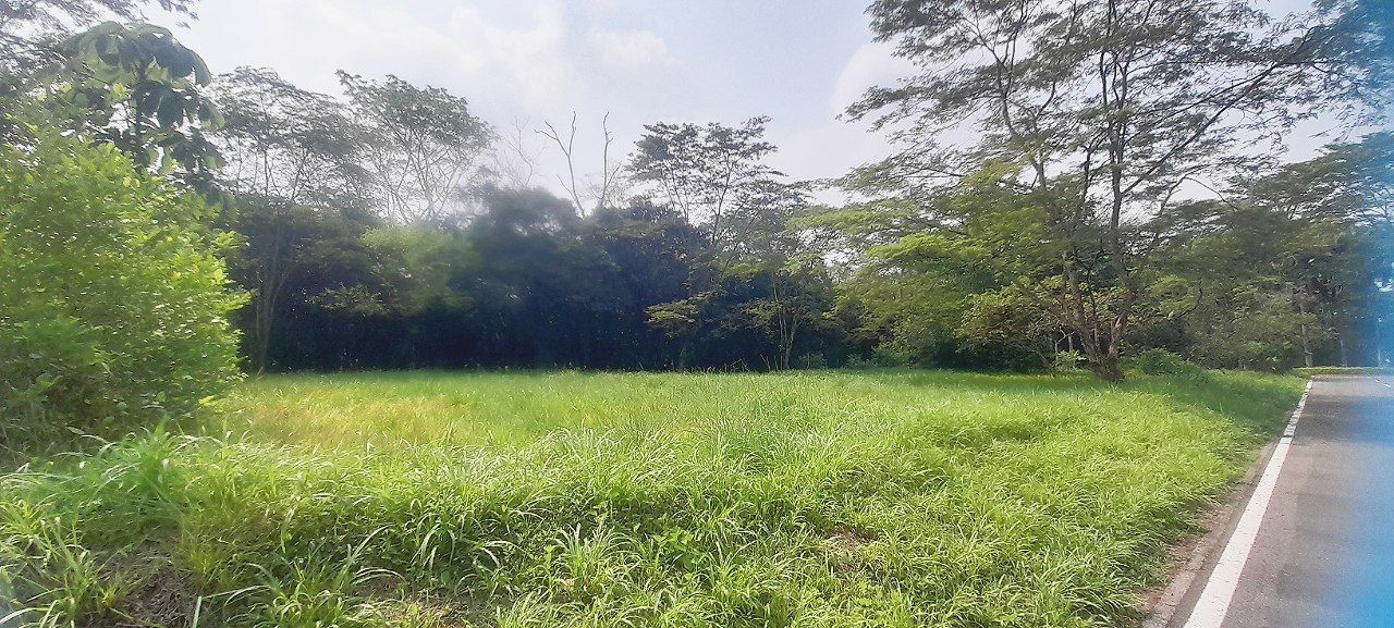 Lote en venta Meta Villavicencio Villavicencio 0 m2 Habitaciones 0 Baños 0 Garajes 0 Precio $390000000