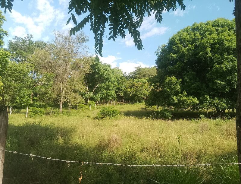 Lote en venta Santander San Gil San Gil 0 m2 Habitaciones 0 Baños 0 Garajes 0 Precio $180000000
