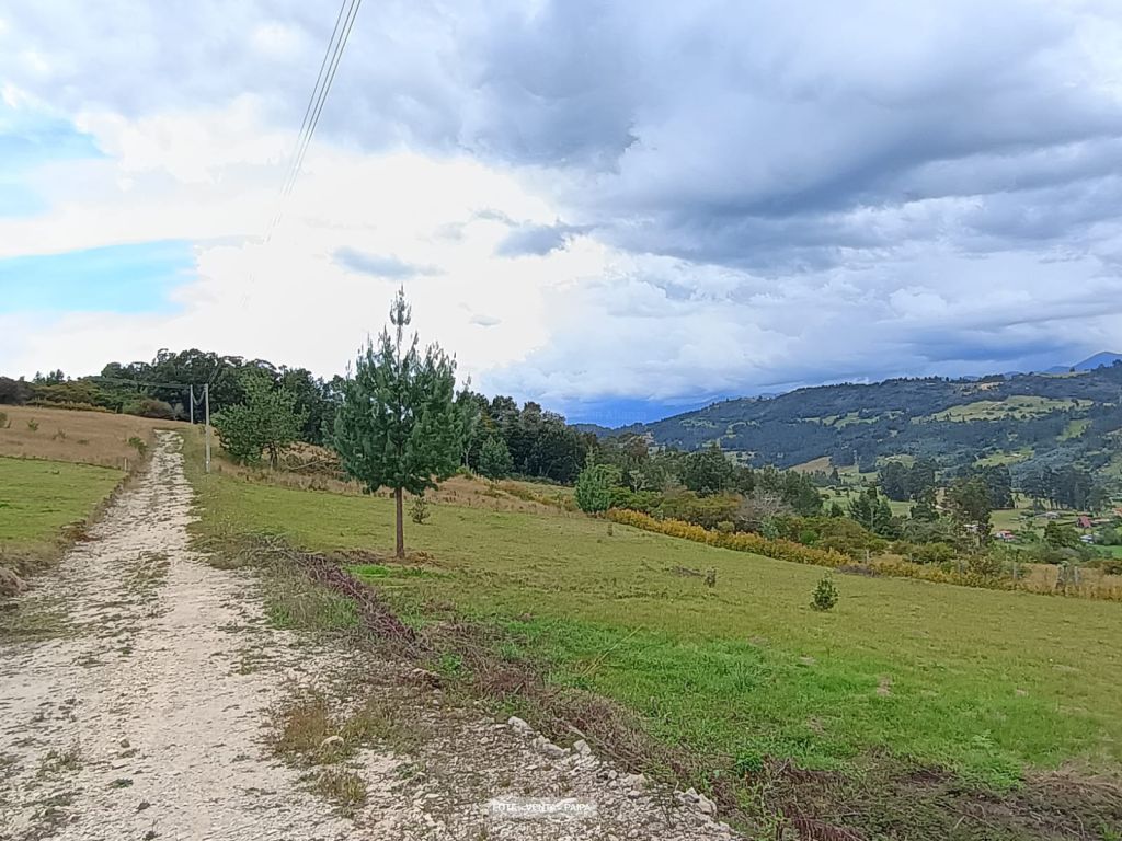 Lote en venta Boyacá Paipa Paipa 0 m2 Habitaciones 0 Baños 0 Garajes 0 Precio $210000000