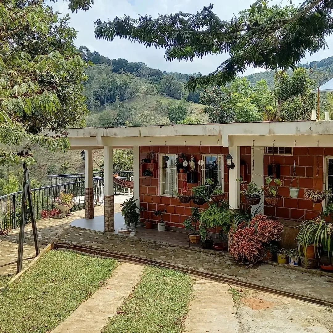 Finca en venta Valle Del Cauca Vijes Vijes 285 m2 Habitaciones 7 Baños 4 Garajes 4 Precio $700000000