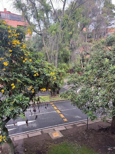 Apartamento en venta Cundinamarca Bogotá La Carolina 108 m2 Habitaciones 2 Baños 2 Garajes 1 Precio $700000000