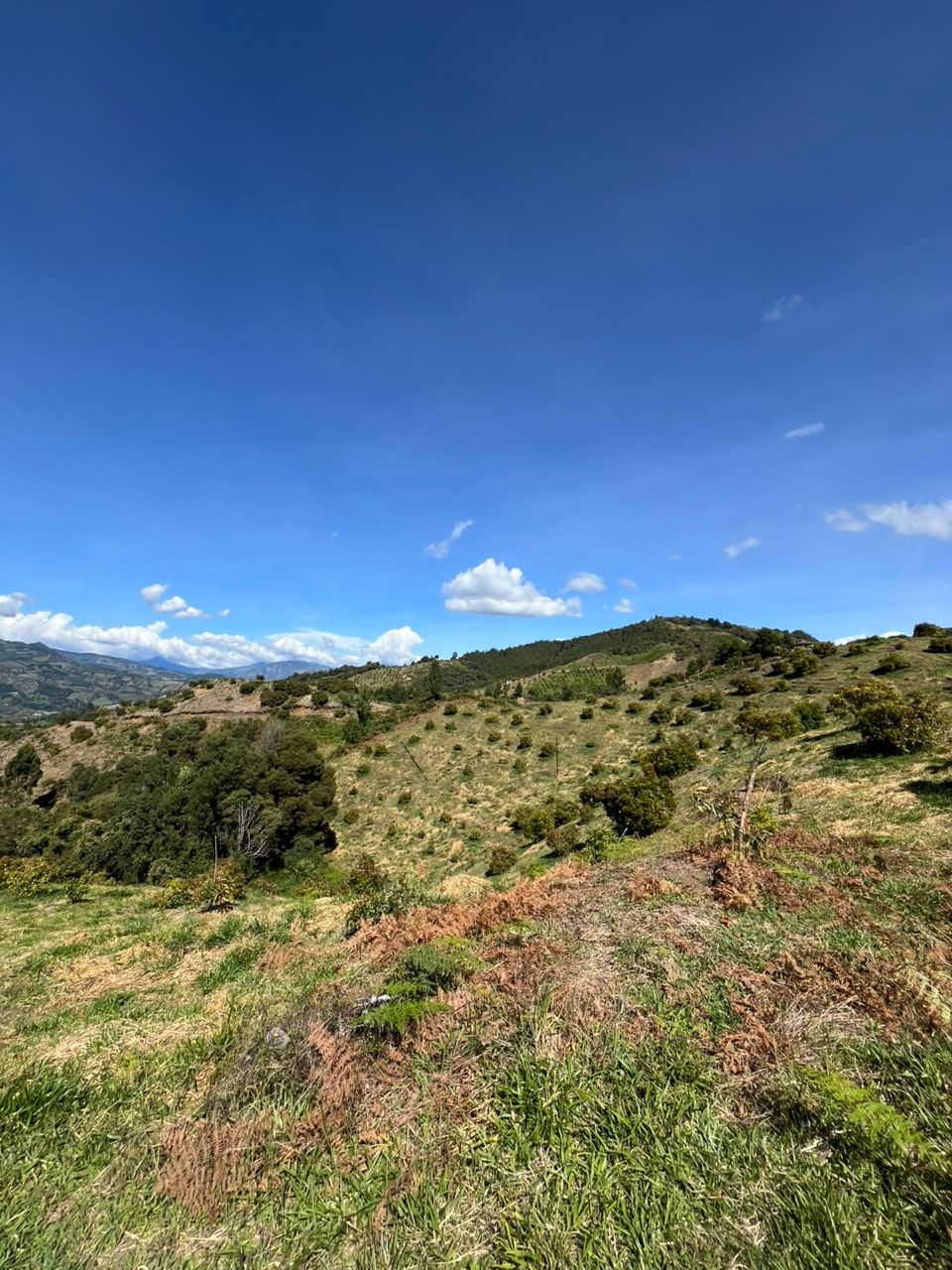 Lote en venta Antioquia Abejorral Rodeo Alto 18400 m2 Habitaciones 0 Baños 0 Garajes 0 Precio $280000000