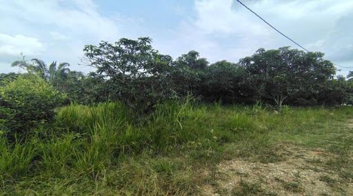Lote en venta Cundinamarca La Mesa La Mesa 0 m2 Habitaciones 0 Baños 0 Garajes 0 Precio $170000000