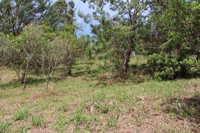 Lote en venta Antioquia El Retiro El Retiro 5200 m2 Habitaciones 0 Baños 0 Garajes 0 Precio $1300000000