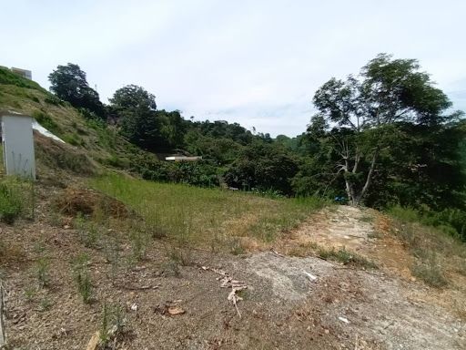 Lote en venta Risaralda Pereira Pereira 2 m2 Habitaciones 0 Baños 0 Garajes 0 Precio $270000000