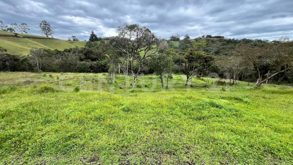 Lote en venta Antioquia El Carmen De Viboral El Carmen De Viboral 0 m2 Habitaciones 0 Baños 0 Garajes 0 Precio $850000000