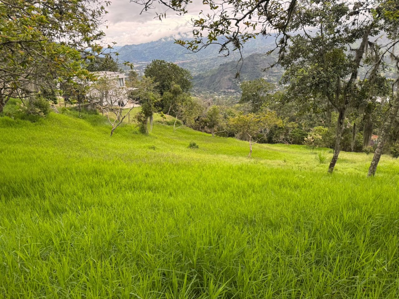 Lote en venta Antioquia Copacabana Ub Reserva De San Juan Et Ii 20 m2 Habitaciones 0 Baños 0 Garajes 0 Precio $650000000