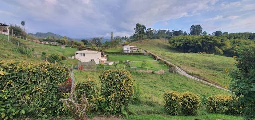 Lote en venta Risaralda Santa Rosa De Cabal Santa Rosa De Cabal 3200 m2 Habitaciones 0 Baños 0 Garajes 0 Precio $480000000