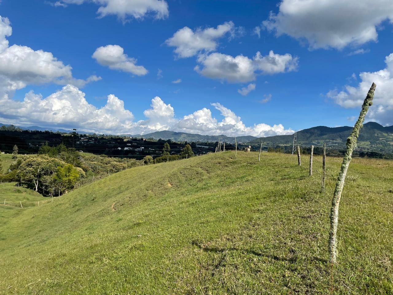 Lote en venta Antioquia Rionegro Rionegro 0 m2 Habitaciones 0 Baños 0 Garajes 0 Precio $3500000000