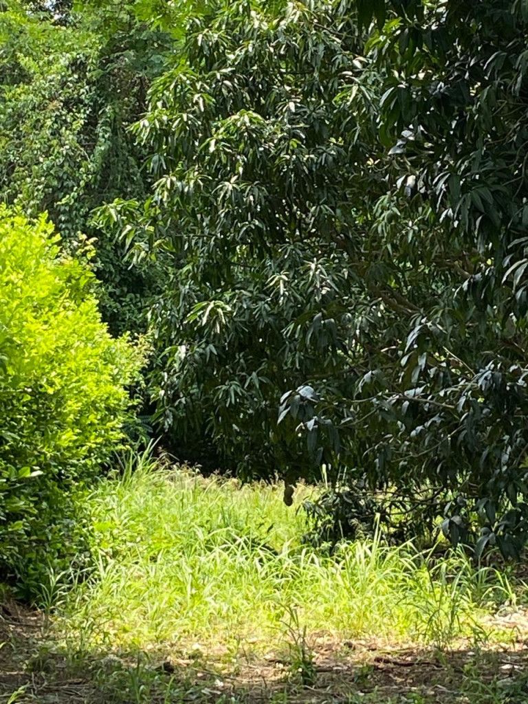 Lote en venta Cundinamarca Apulo Apulo 0 m2 Habitaciones 0 Baños 0 Garajes 0 Precio $130000000