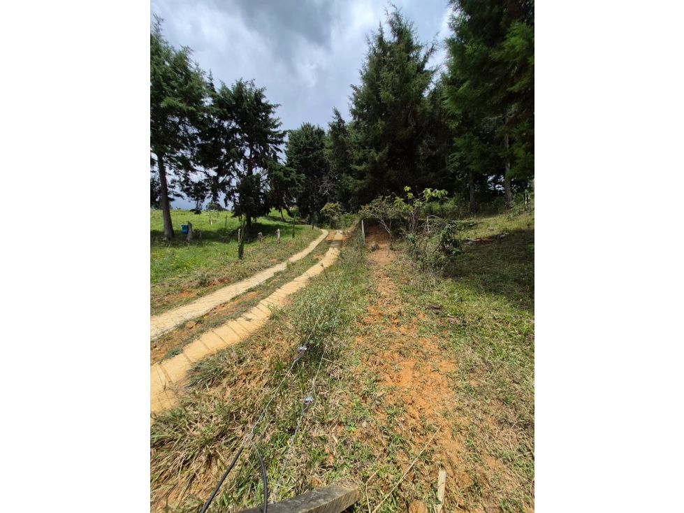Lote en venta Antioquia Medellín Medellín 3000 m2 Habitaciones 0 Baños 0 Garajes 0 Precio $230000000