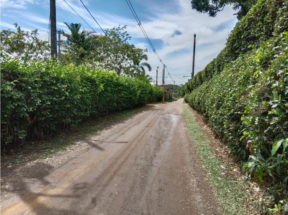 Lote en venta Valle Del Cauca Jamundí Jamundí 3000 m2 Habitaciones 0 Baños 0 Garajes 0 Precio $600000000