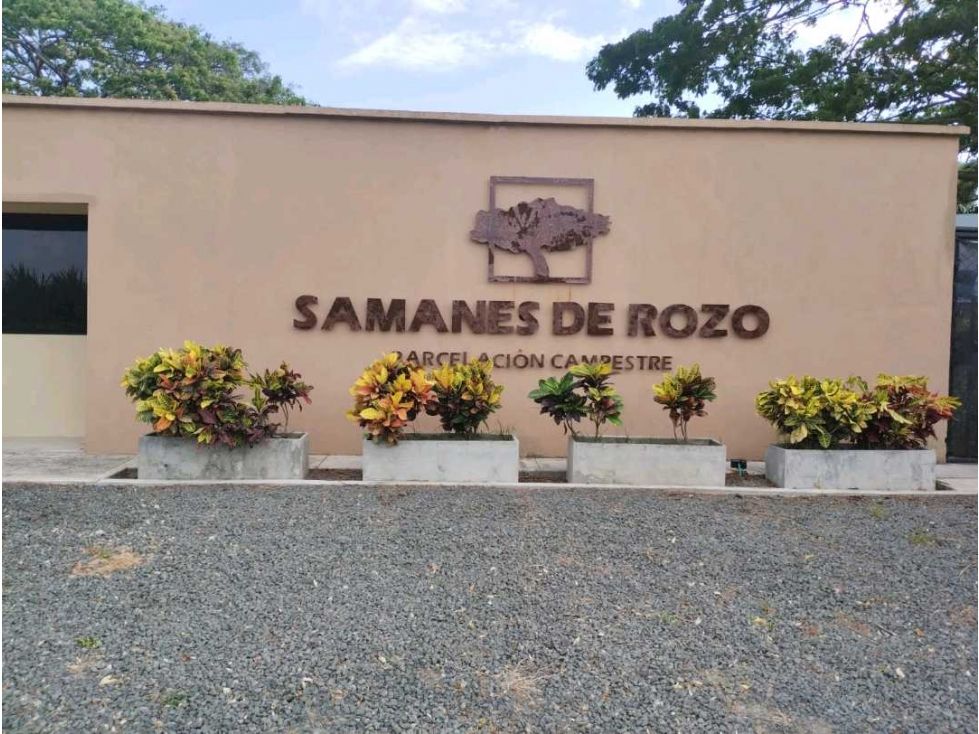 Lote en venta Valle Del Cauca Palmira Alfonso López 1500 m2 Habitaciones 0 Baños 0 Garajes 0 Precio $345000000