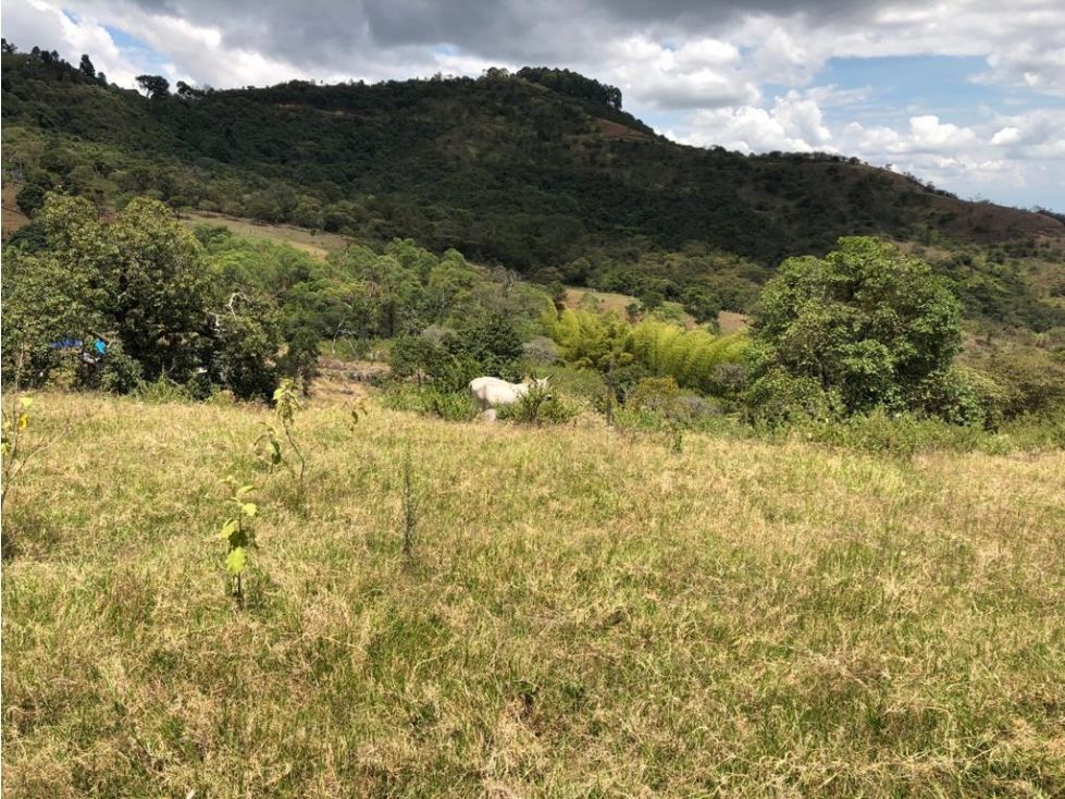 Lote en venta Valle Del Cauca Yumbo Yumbo 11270 m2 Habitaciones 0 Baños 0 Garajes 0 Precio $790000000