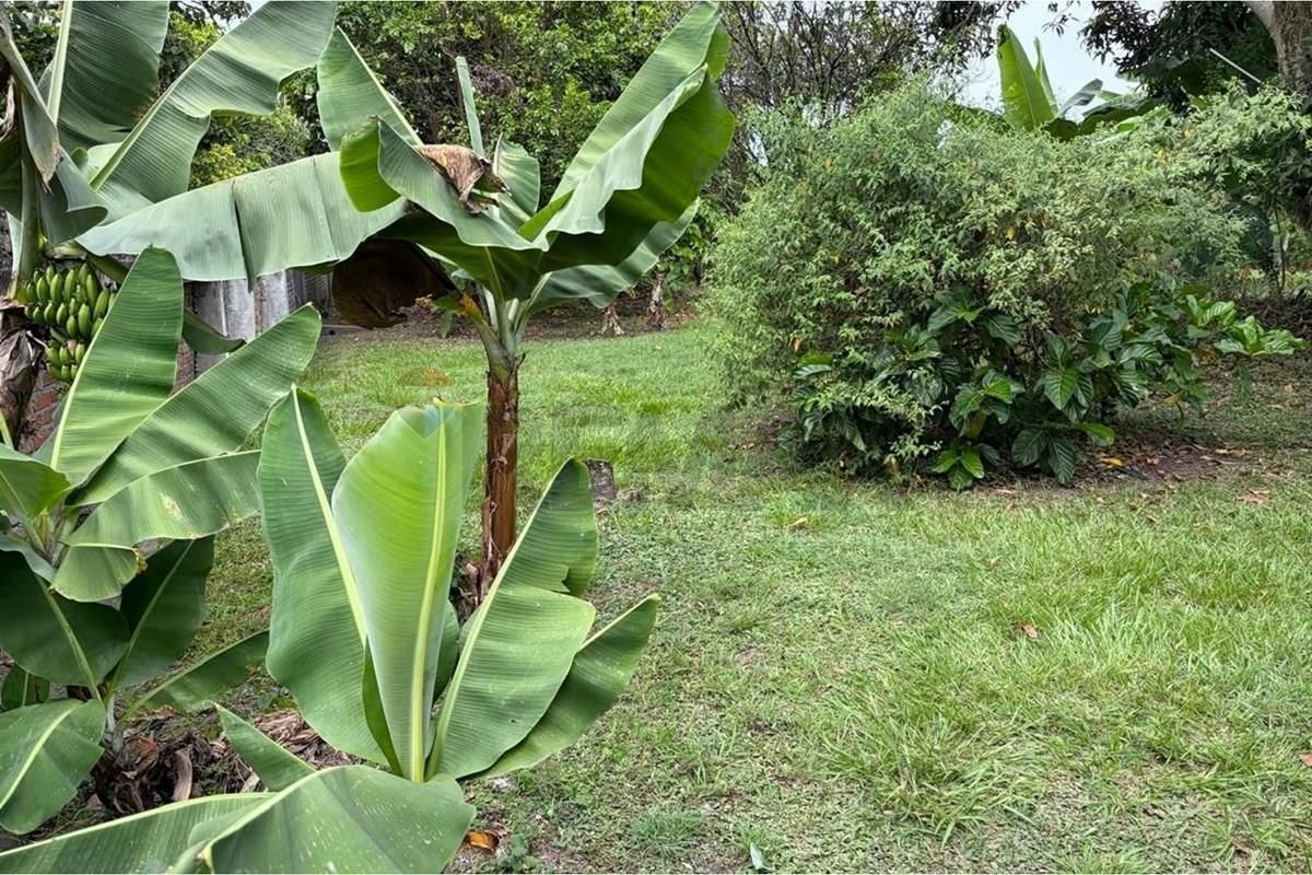 Lote en venta Valle Del Cauca Tuluá El Centro 2014 m2 Habitaciones 0 Baños 0 Garajes 0 Precio $600000000