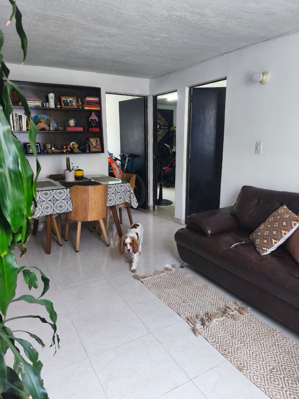 Apartamento en venta Valle Del Cauca Cali Sector Puente Del Comercio 52 m2 Habitaciones 3 Baños 1 Garajes 1 Precio $165000000