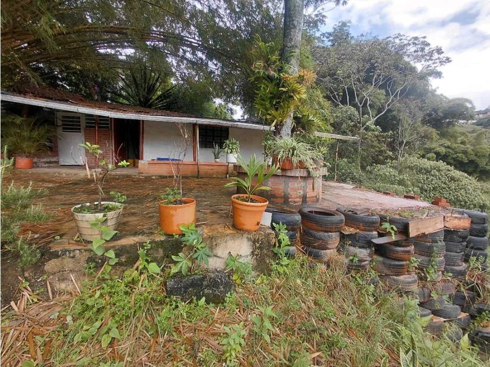 Lote en venta Valle Del Cauca Cali Alfonso López I Etapa 1178 m2 Habitaciones 0 Baños 1 Garajes 0 Precio $295000000