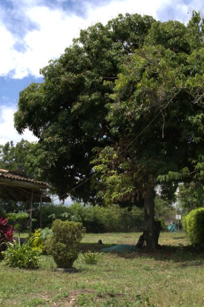 Lote en venta Valle Del Cauca Candelaria Candelaria 2548 m2 Habitaciones 0 Baños 1 Garajes 5 Precio $580000000