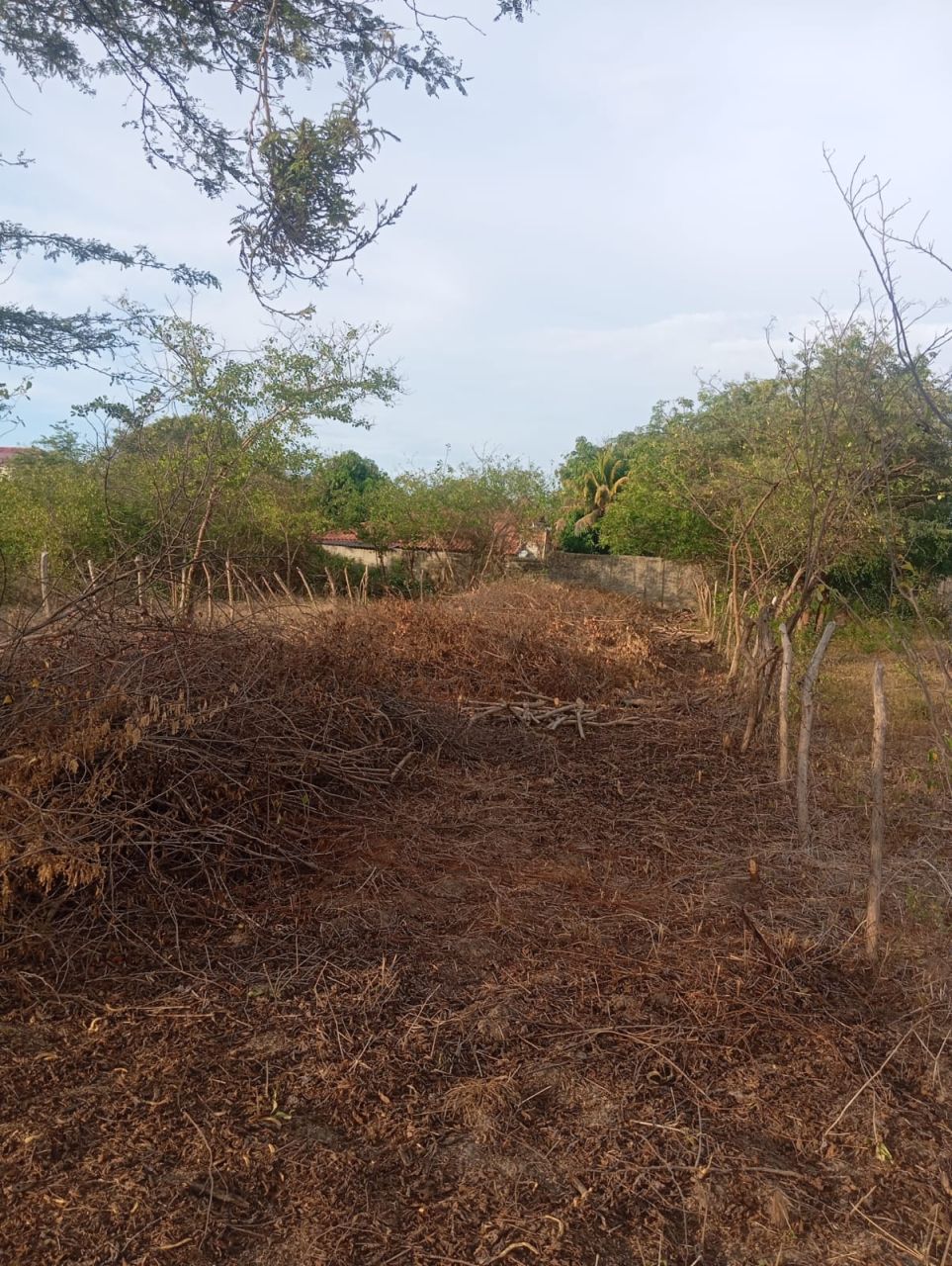 Lote en venta Atlántico Juan De Acosta Juan De Acosta 941 m2 Habitaciones 0 Baños 0 Garajes 0 Precio $200000000