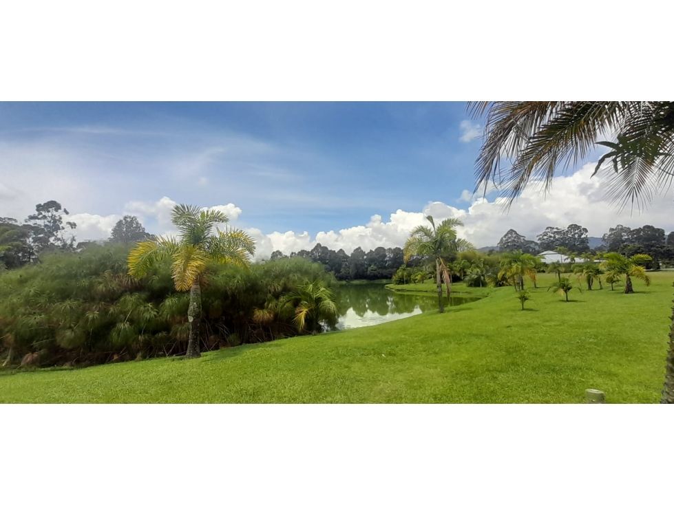 Lote en venta Antioquia Rionegro El Porvenir 2050 m2 Habitaciones 0 Baños 0 Garajes 0 Precio $4612500000