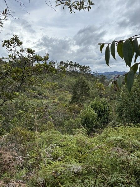 Lote en venta Antioquia Rionegro Rionegro 0 m2 Habitaciones 0 Baños 0 Garajes 0 Precio $6500000000