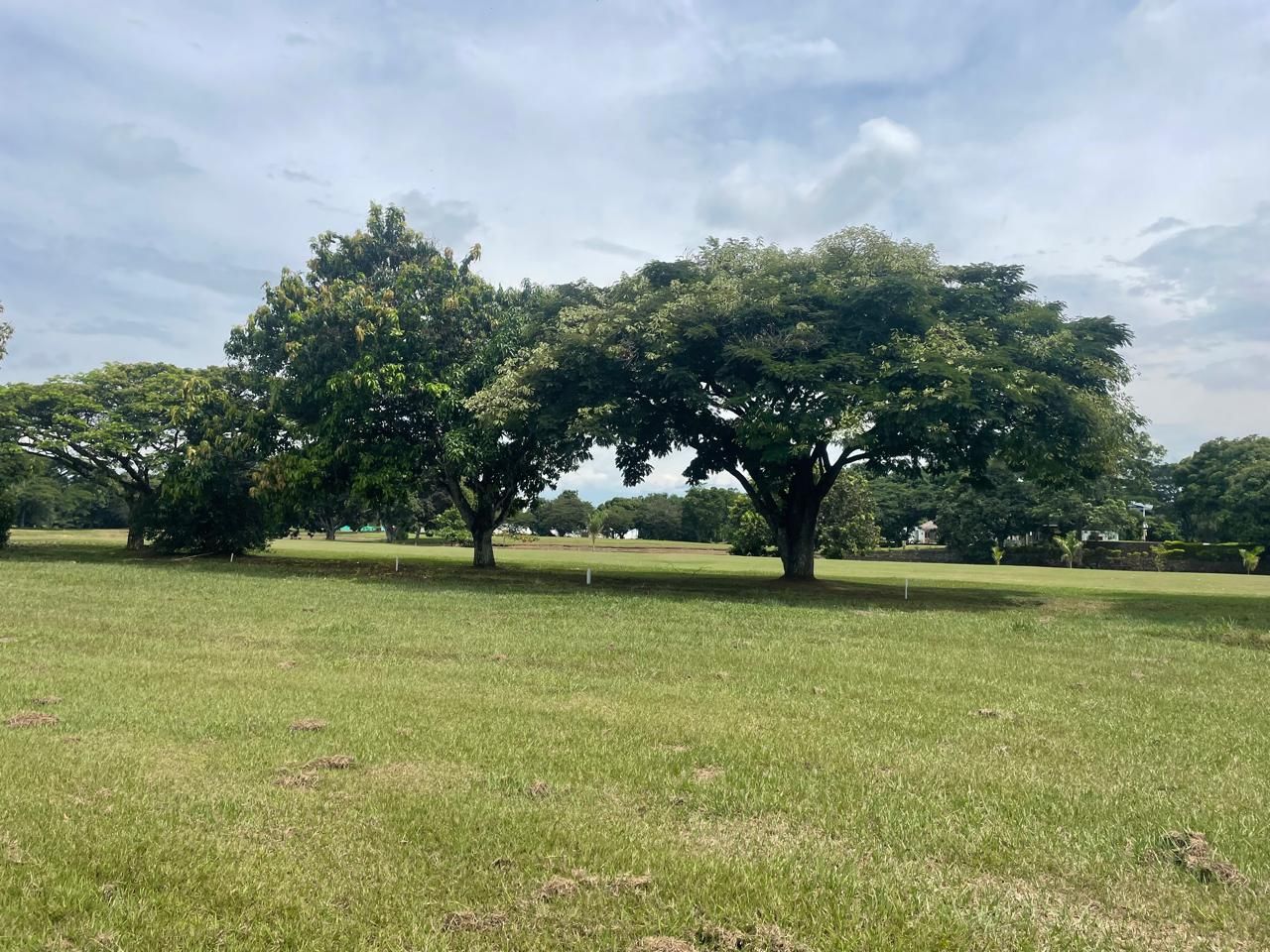 Lote en venta Cauca Santander De Quilichao Santander De Quilichao 847 m2 Habitaciones 0 Baños 0 Garajes 0 Precio $380000000