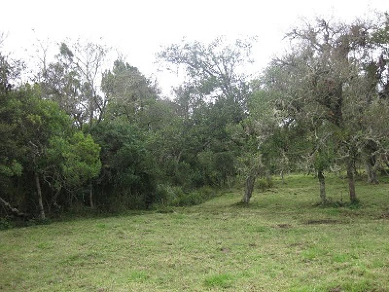 Lote en venta Cundinamarca Chía Chia 0 m2 Habitaciones 0 Baños 0 Garajes 0 Precio $2300000000