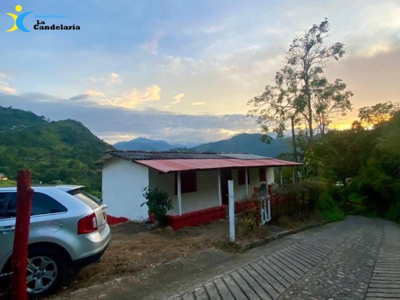 Finca en venta Antioquia Andes Las Manguitas 2824 m2 Habitaciones 0 Baños 1 Garajes 0 Precio $290000000