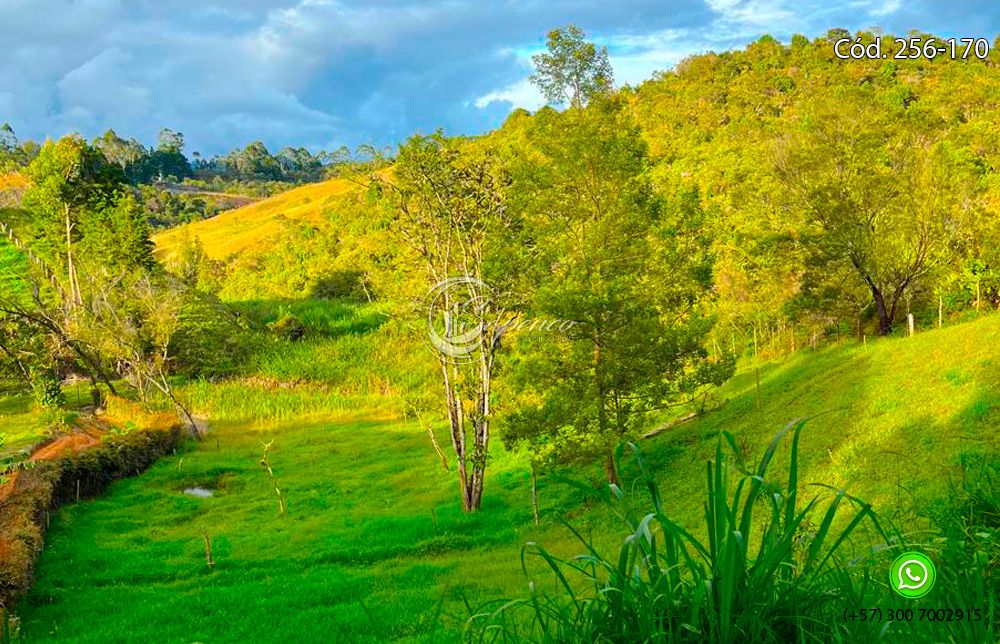 Lote en venta Antioquia Rionegro Cuatro Esquinas 20 m2 Habitaciones 0 Baños 0 Garajes 0 Precio $500000000