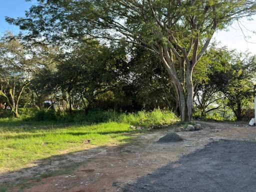 Lote en venta Tolima Ibagué Cn Los Lagos 973 m2 Habitaciones 0 Baños 0 Garajes 0 Precio $850000000