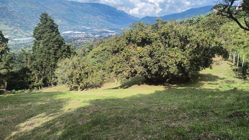 Lote en venta Antioquia Medellín Medellín 0 m2 Habitaciones 0 Baños 0 Garajes 0 Precio $410000000