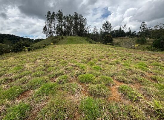 Lote en venta Antioquia Medellín Medellín 0 m2 Habitaciones 0 Baños 0 Garajes 0 Precio $1769000000