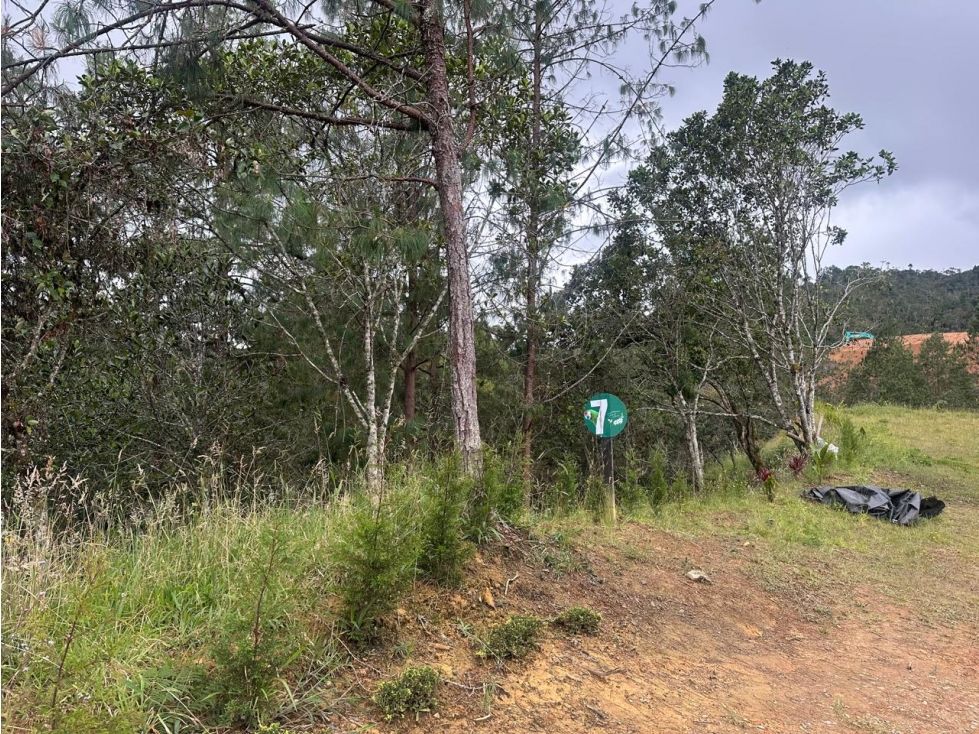 Lote en venta Antioquia El Retiro El Retiro 3200 m2 Habitaciones 0 Baños 0 Garajes 0 Precio $750000000